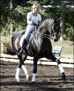 Dobble Tyme - Dressage Rider